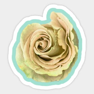 Yellow Rose Art Sticker